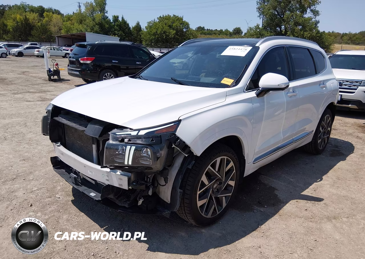 2023 Hyundai Santa Fe Calligraphy VIN:5NMS54AL6PH514391 - 2