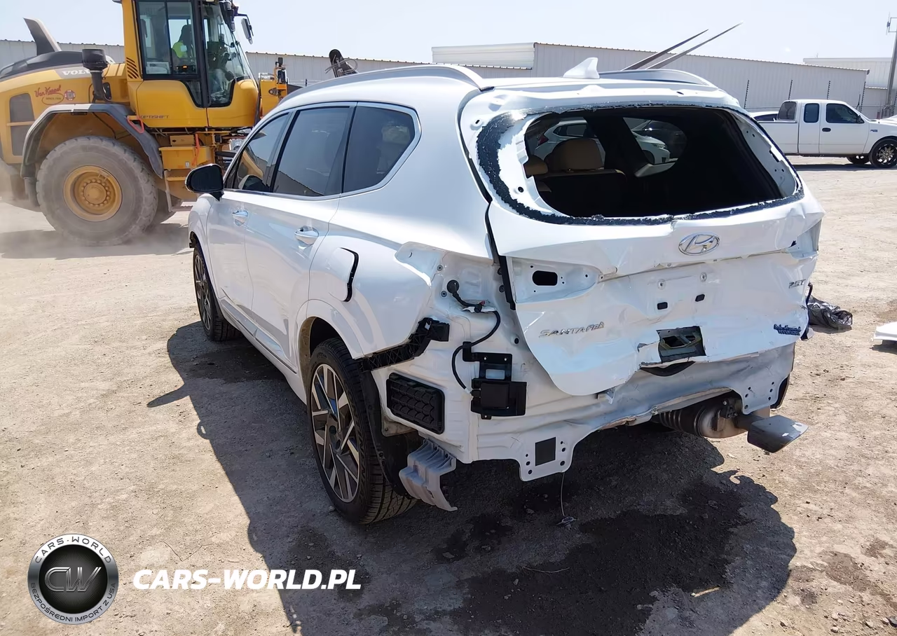 2023 Hyundai Santa Fe Calligraphy VIN:5NMS54AL6PH514391 - 3