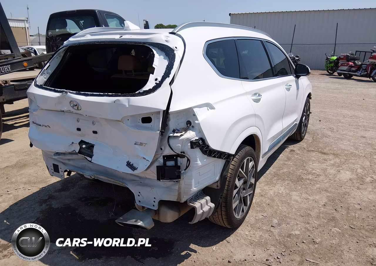 2023 Hyundai Santa Fe Calligraphy VIN:5NMS54AL6PH514391 - 4