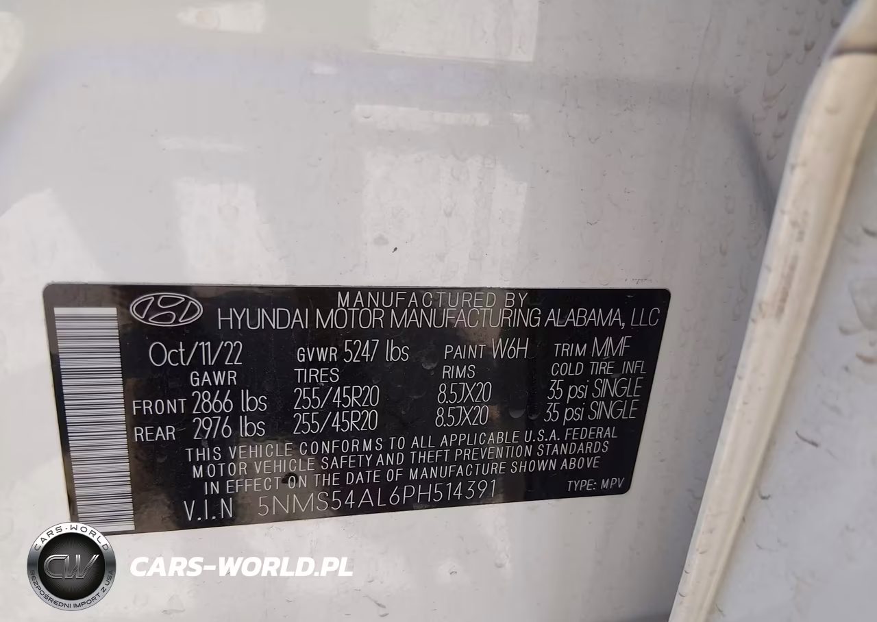 2023 Hyundai Santa Fe Calligraphy VIN:5NMS54AL6PH514391 - 9