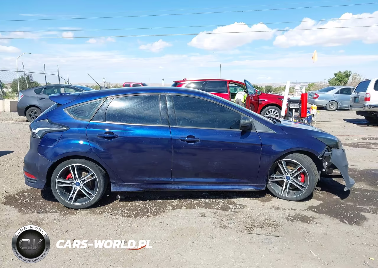 2016 Ford Focus St VIN:1FADP3L92GL293486 - 14