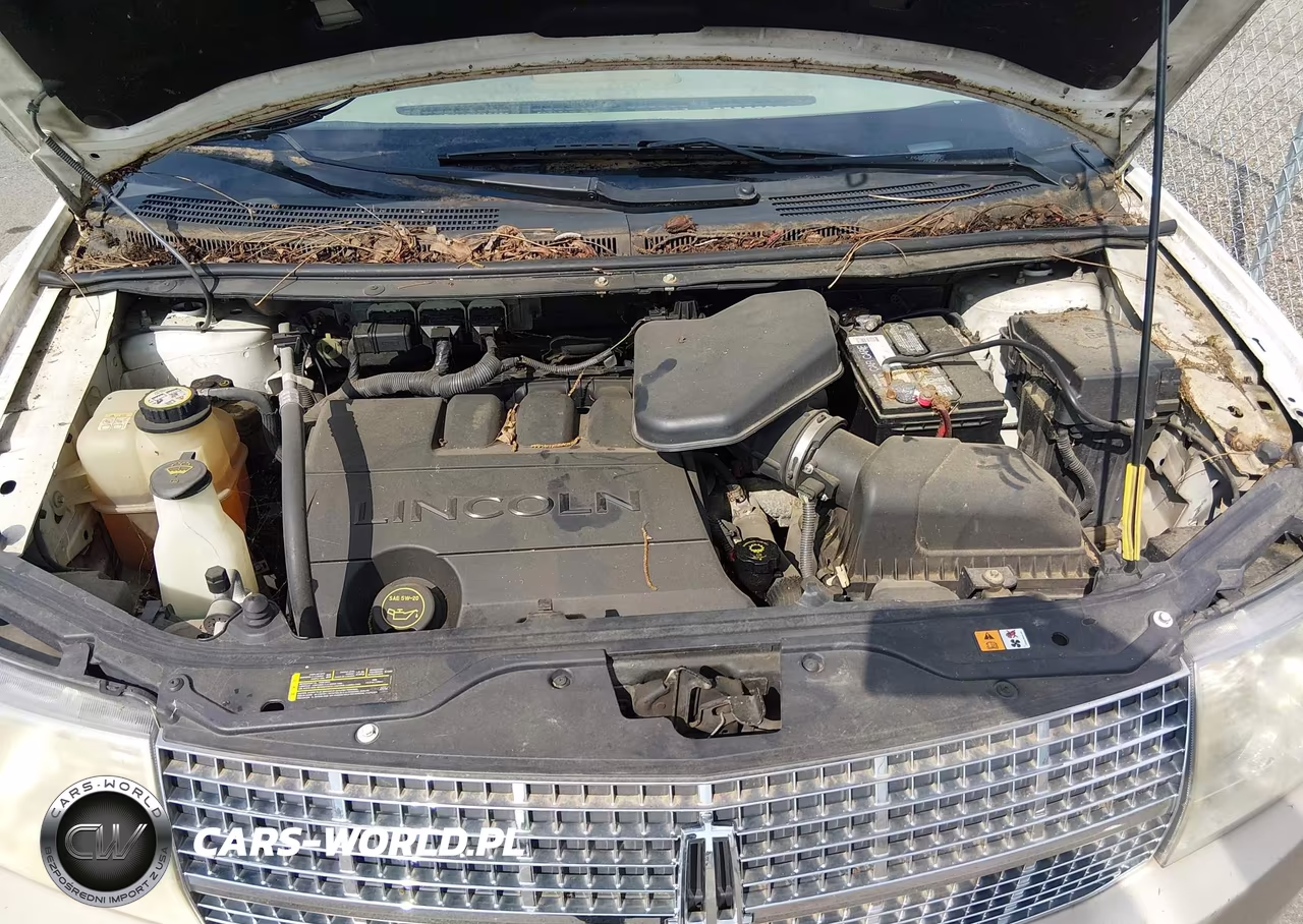 2007 Lincoln Mkx VIN:2LMDU88C97BJ38177 - 10