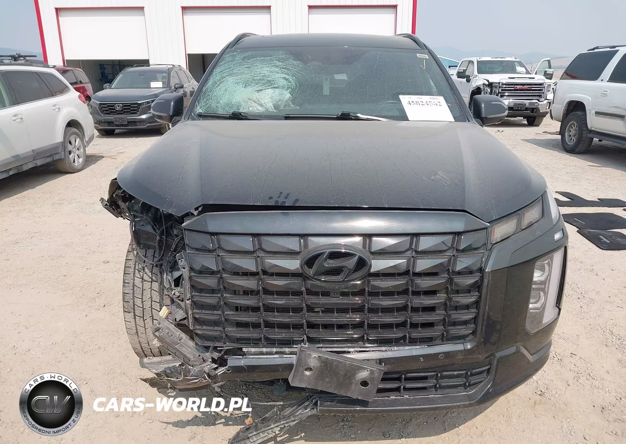 2024 Hyundai Palisade Calligraphy Night Edition VIN:KM8R7DGE8RU745432 - 13