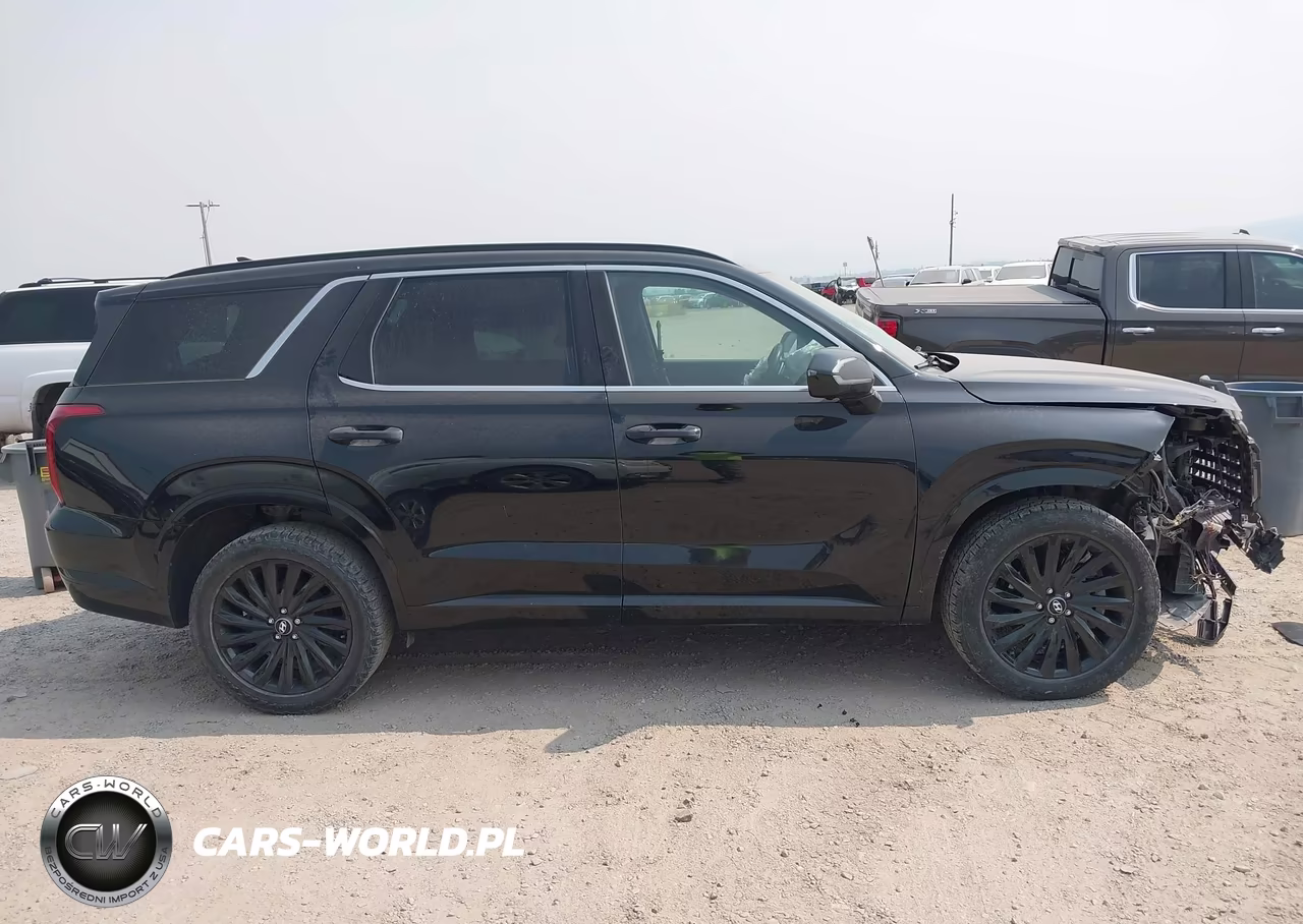 2024 Hyundai Palisade Calligraphy Night Edition VIN:KM8R7DGE8RU745432 - 14