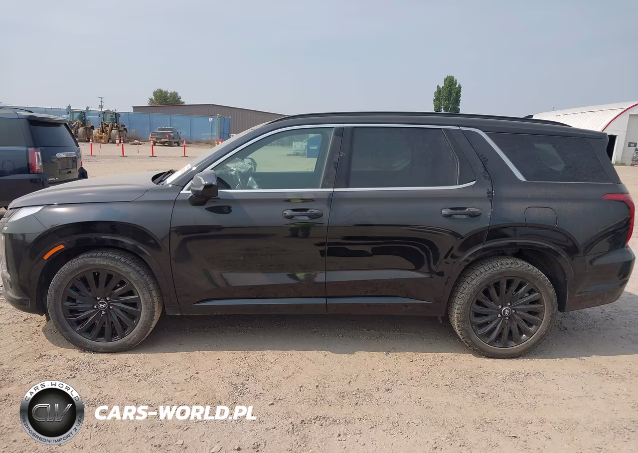 2024 Hyundai Palisade Calligraphy Night Edition VIN:KM8R7DGE8RU745432 - 15