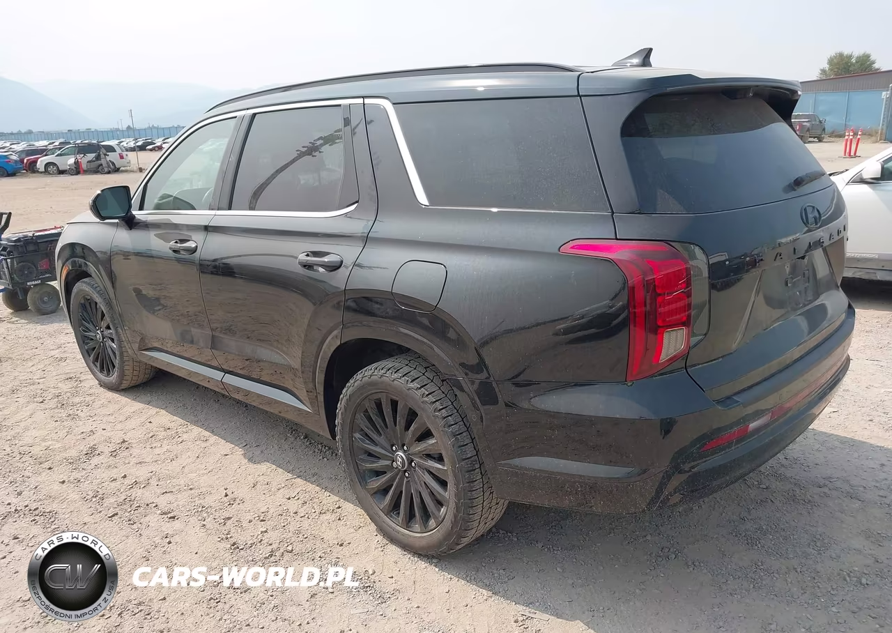 2024 Hyundai Palisade Calligraphy Night Edition VIN:KM8R7DGE8RU745432 - 3
