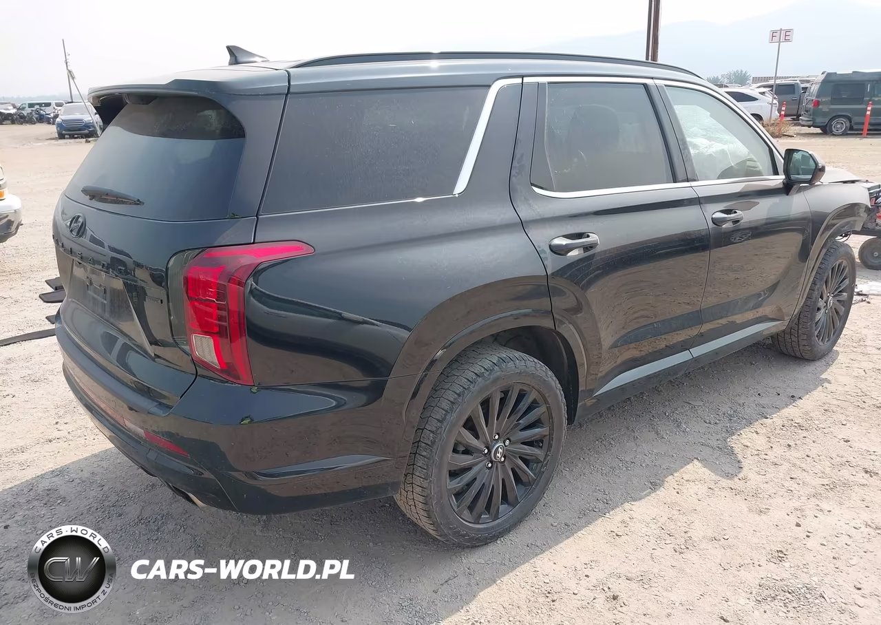 2024 Hyundai Palisade Calligraphy Night Edition VIN:KM8R7DGE8RU745432 - 4