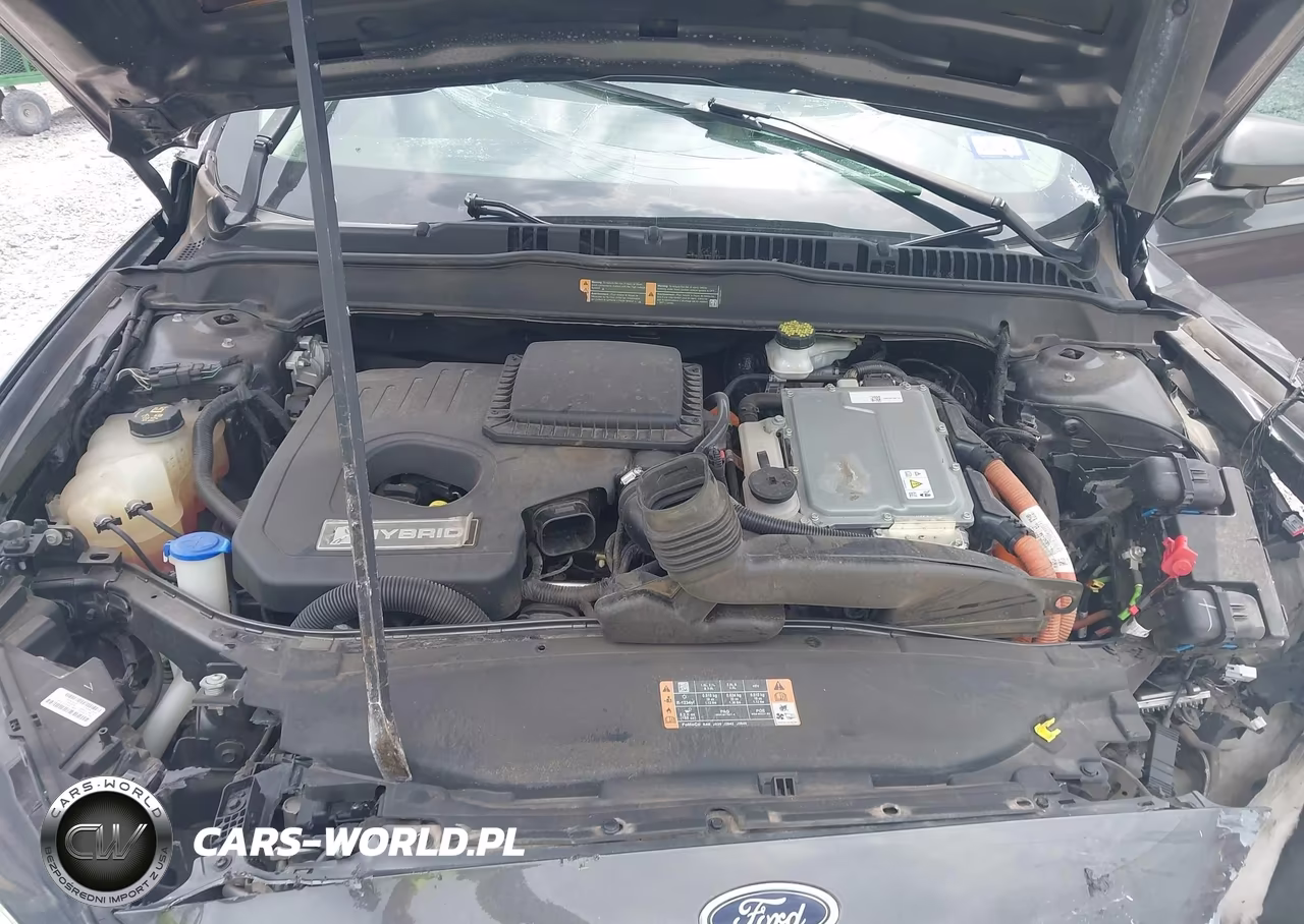 2018 Ford Fusion Hybrid Titanium VIN:3FA6P0RU9JR147260 - 10