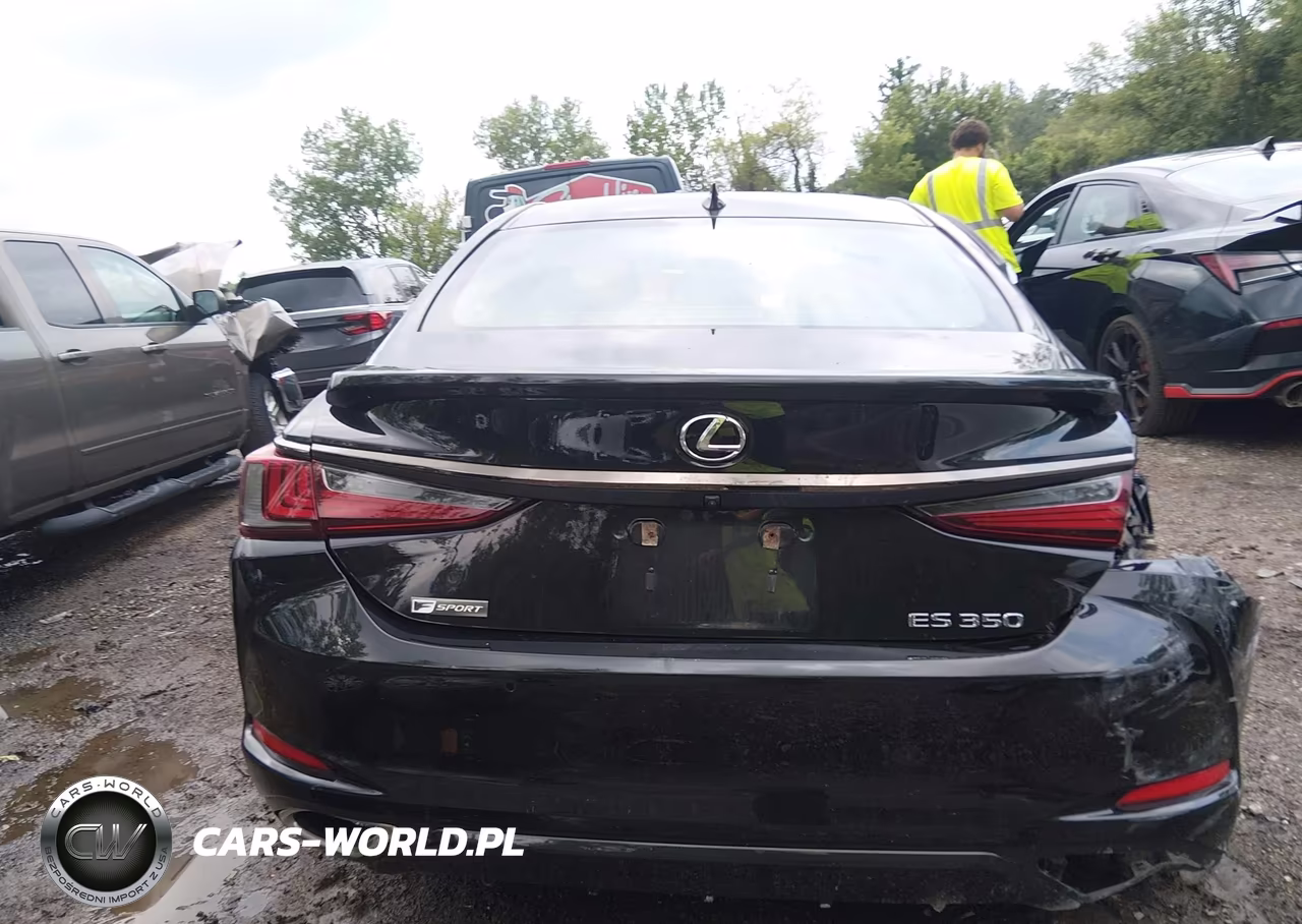 2020 Lexus Es 350 F Sport VIN:58AGZ1B17LU071780 - 16