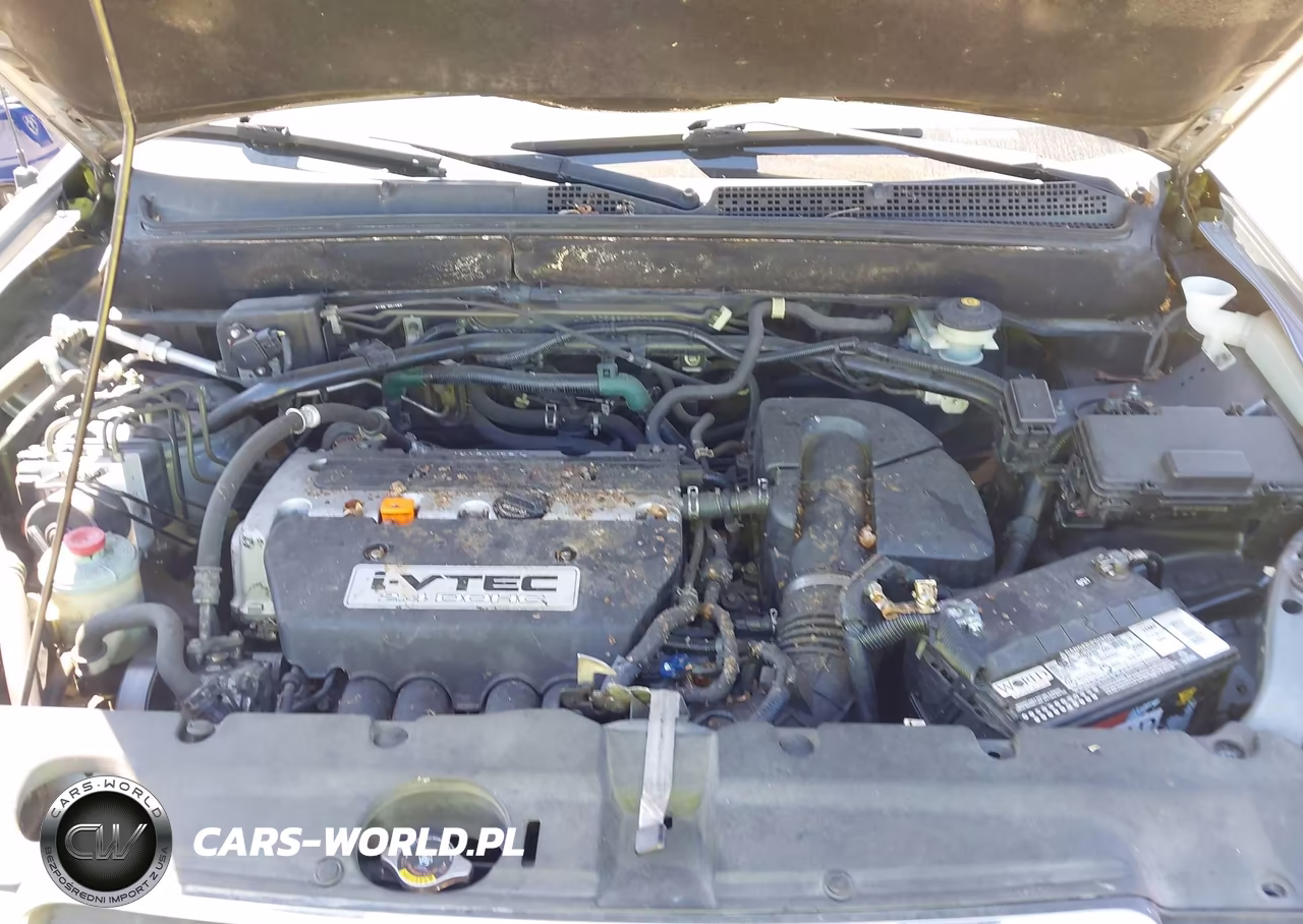 2006 Honda Cr-V Se VIN:JHLRD789X6C045979 - 10