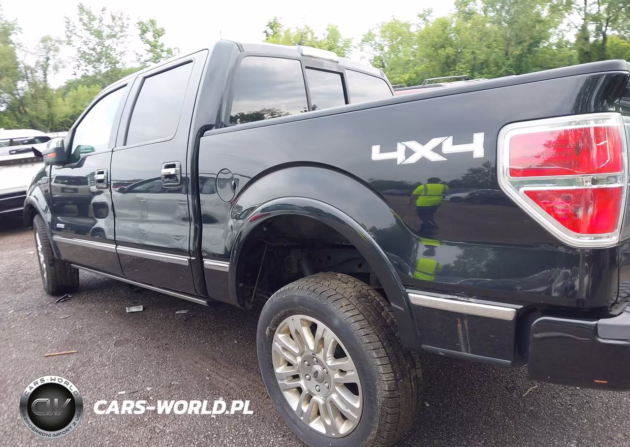 2013 Ford F-150 Platinum VIN:1FTFW1ET0DFD32797 - 13