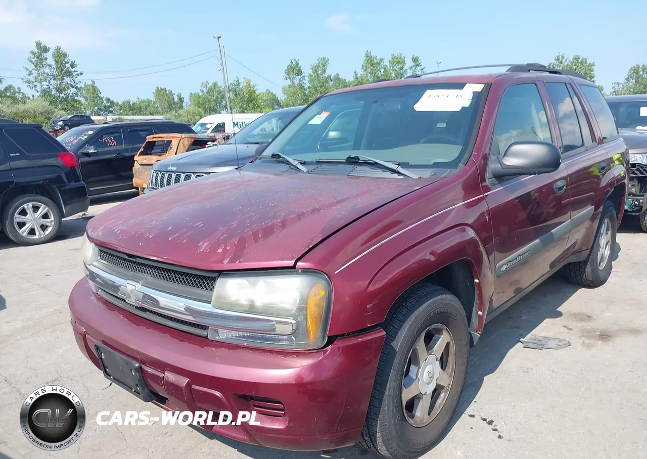 2004 Chevrolet Trailblazer Ls VIN:1GNDT13S842433319 - 6