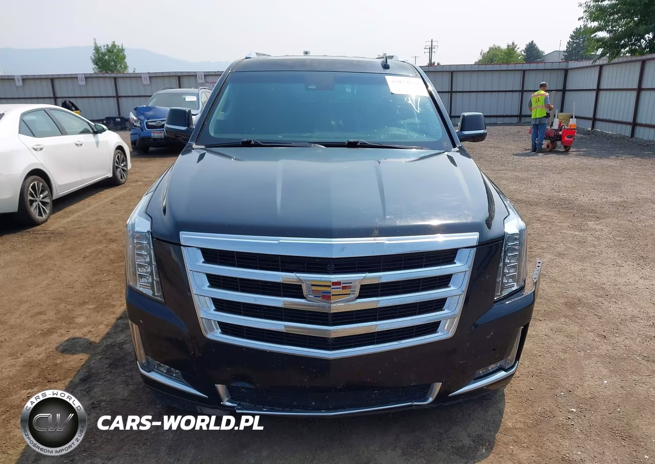 2015 Cadillac Escalade Esv Premium VIN:1GYS4TKJ5FR674261 - 12