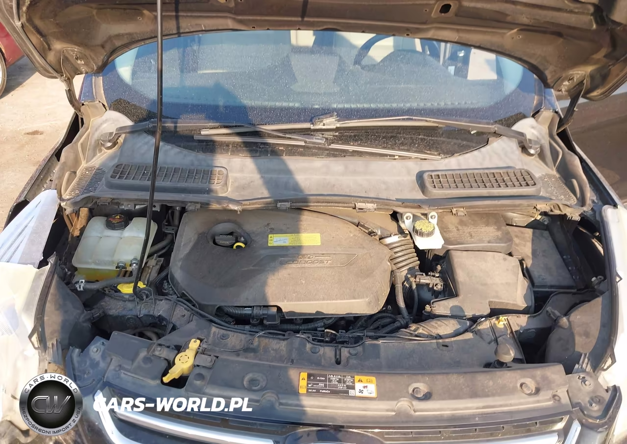 2013 Ford Escape Sel VIN:1FMCU0HX5DUB95087 - 10