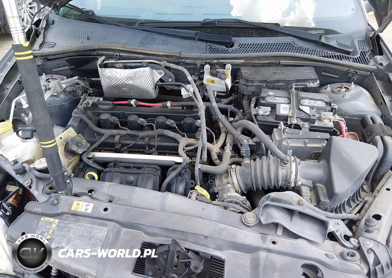 2009 Ford Focus Se VIN:1FAHP35N09W216466 - 10