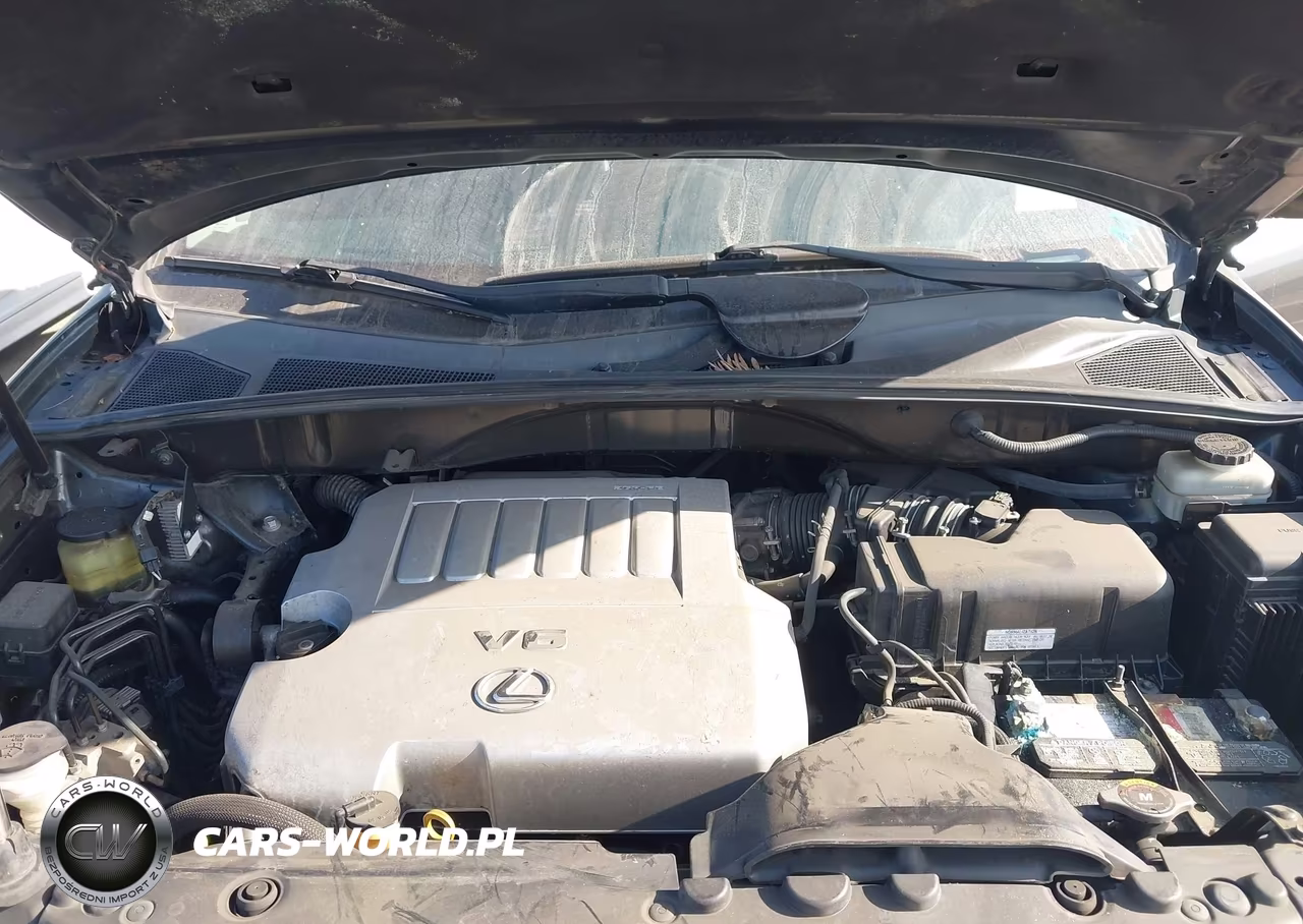 2009 Lexus Rx 350 VIN:2T2GK31U59C081054 - 10