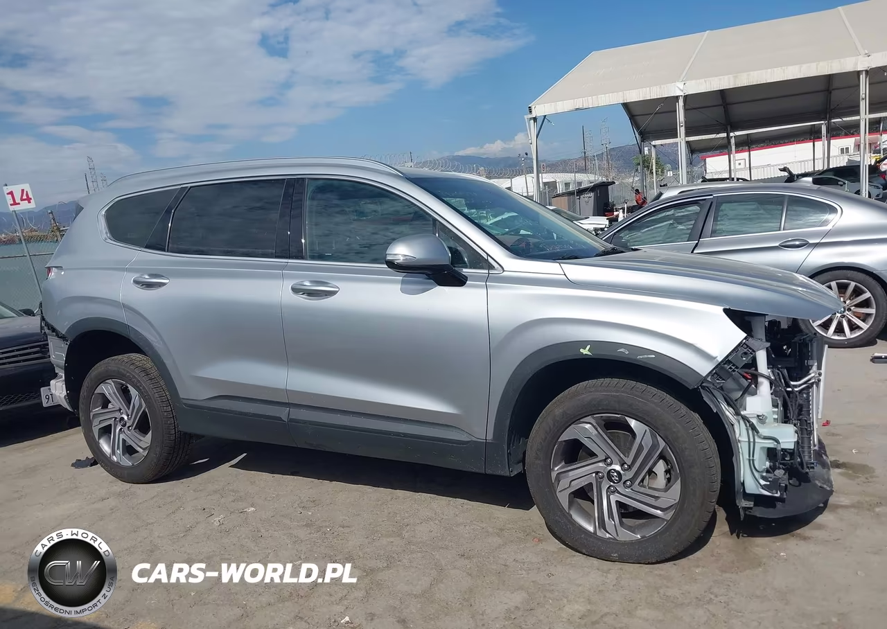2023 Hyundai Santa Fe Sel VIN:5NMS2DAJ4PH610009 - 14