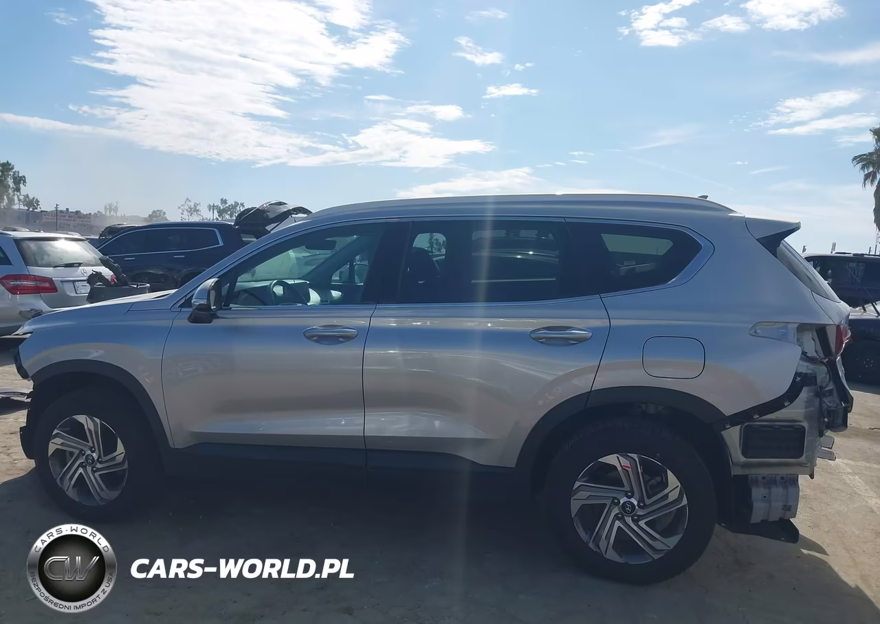 2023 Hyundai Santa Fe Sel VIN:5NMS2DAJ4PH610009 - 15