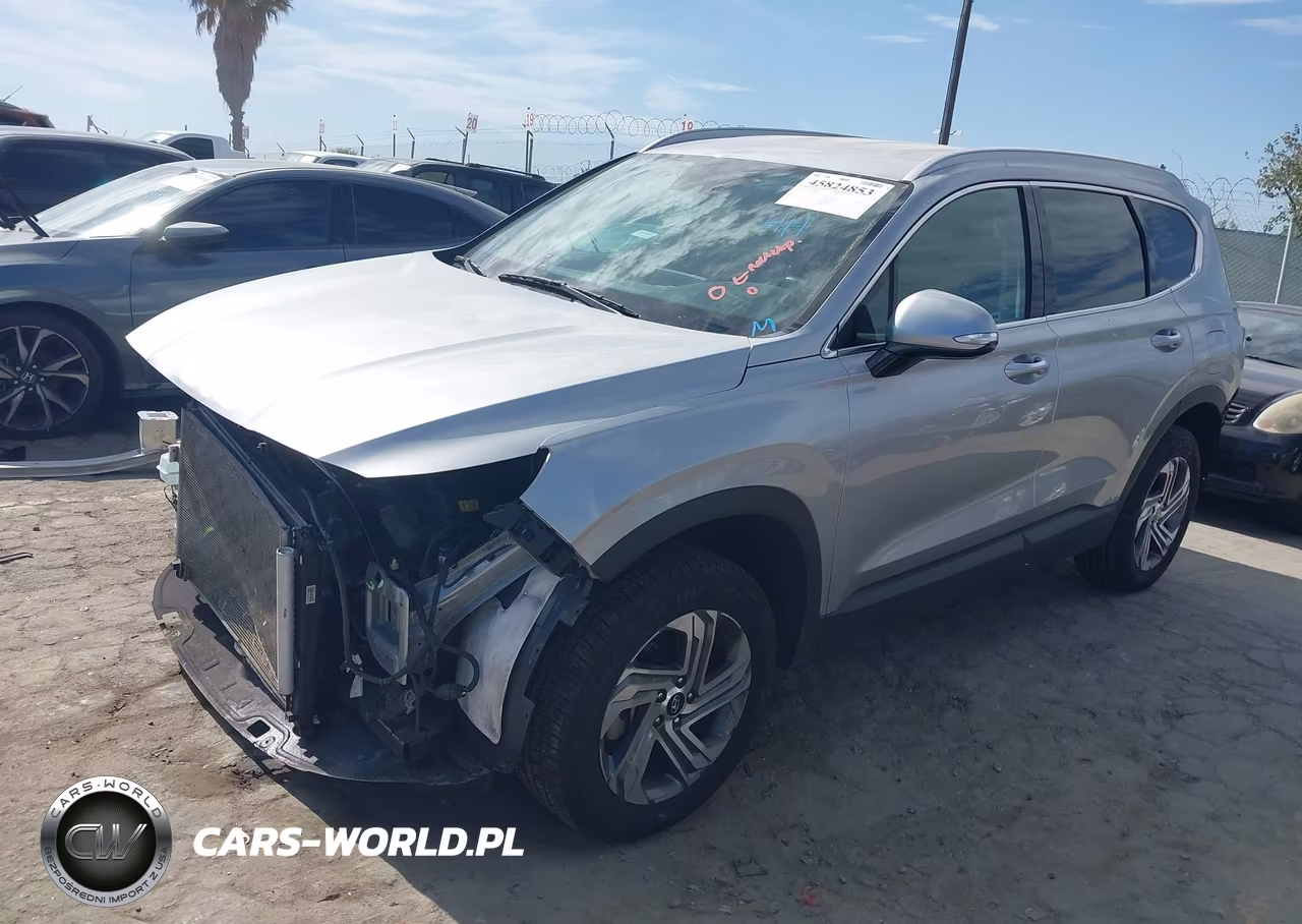 2023 Hyundai Santa Fe Sel VIN:5NMS2DAJ4PH610009 - 2