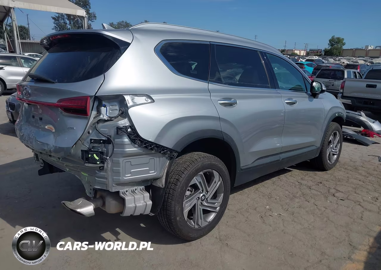 2023 Hyundai Santa Fe Sel VIN:5NMS2DAJ4PH610009 - 4