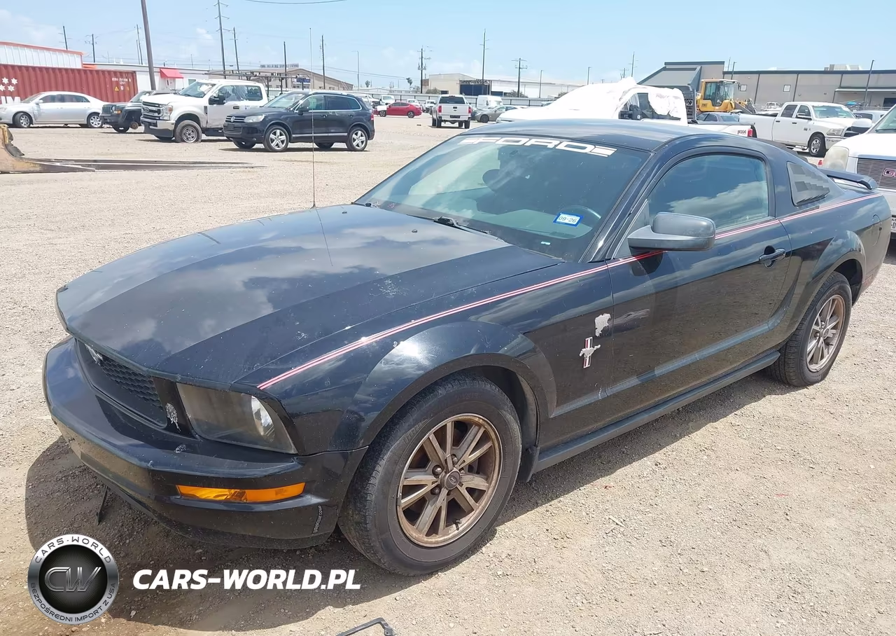 2005 Ford Mustang V6 Deluxe-V6 Premium VIN:1ZVFT80NX55171647 - 2