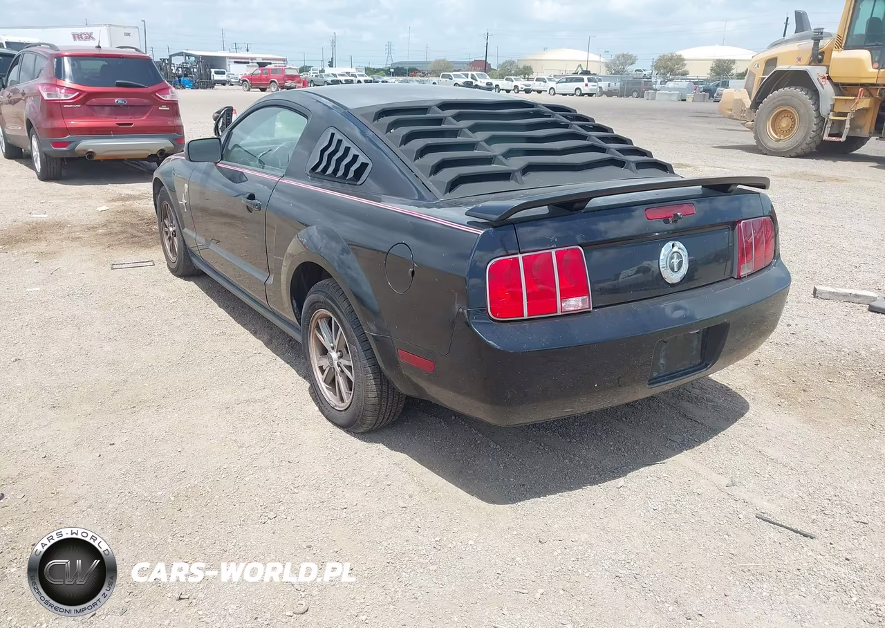 2005 Ford Mustang V6 Deluxe-V6 Premium VIN:1ZVFT80NX55171647 - 3