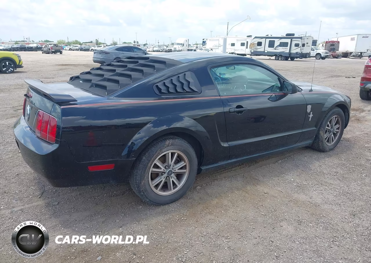 2005 Ford Mustang V6 Deluxe-V6 Premium VIN:1ZVFT80NX55171647 - 4