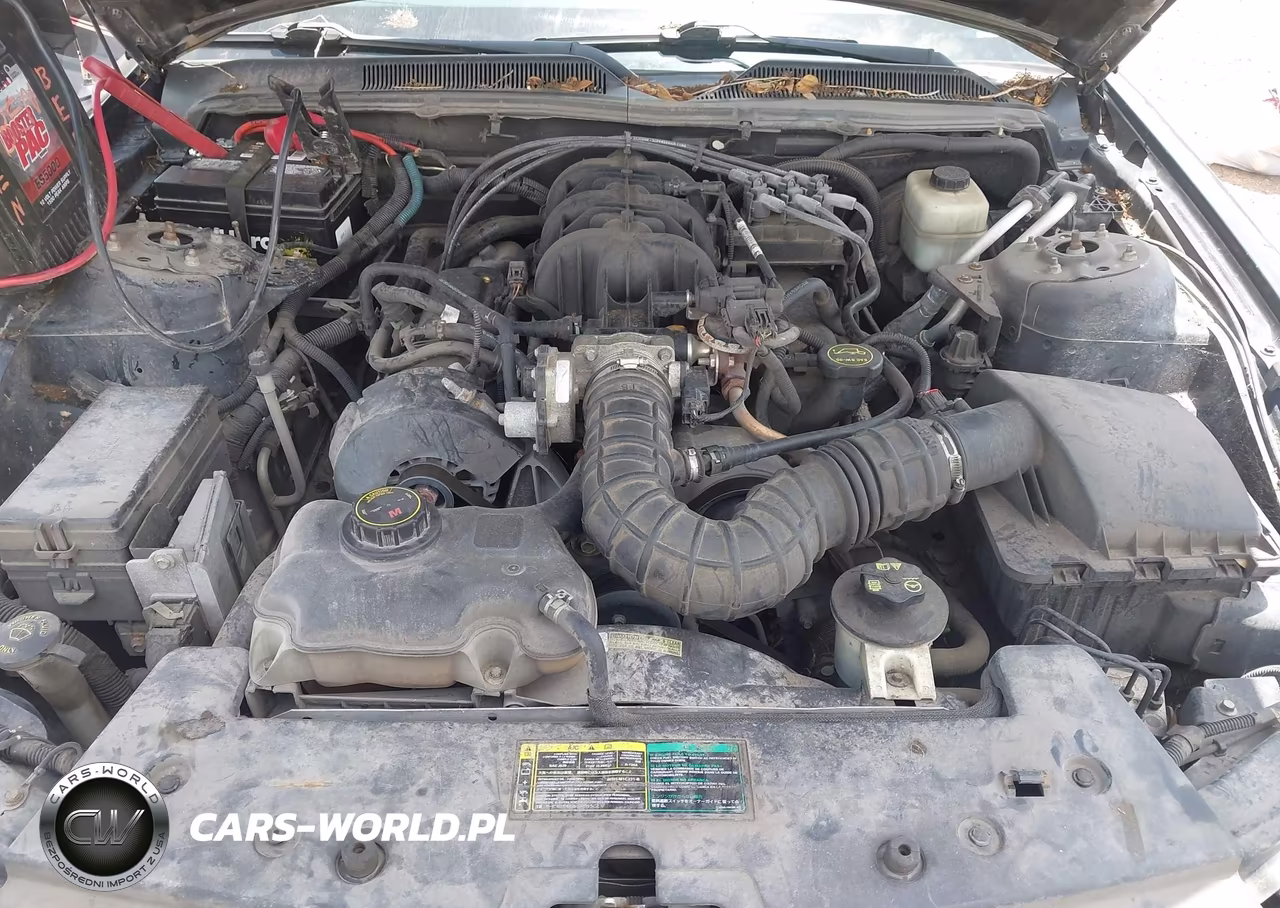 2005 Ford Mustang V6 Deluxe-V6 Premium VIN:1ZVFT80NX55171647 - 6