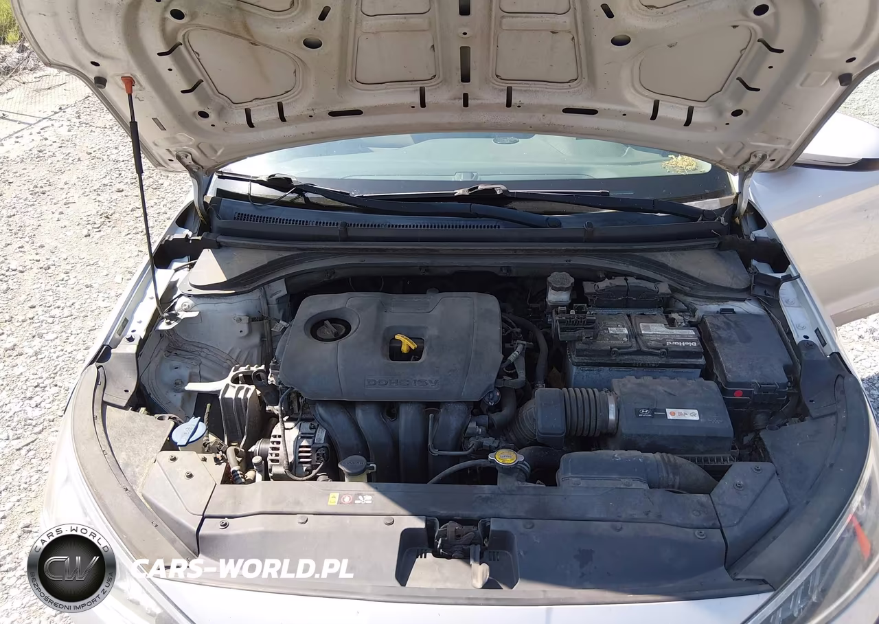 2019 Hyundai Elantra Se VIN:5NPD74LF7KH498000 - 10