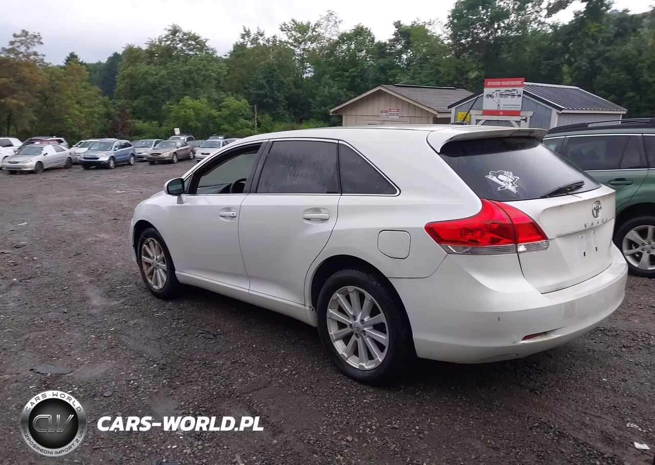 2010 Toyota Venza VIN:4T3ZA3BB1AU030979 - 3