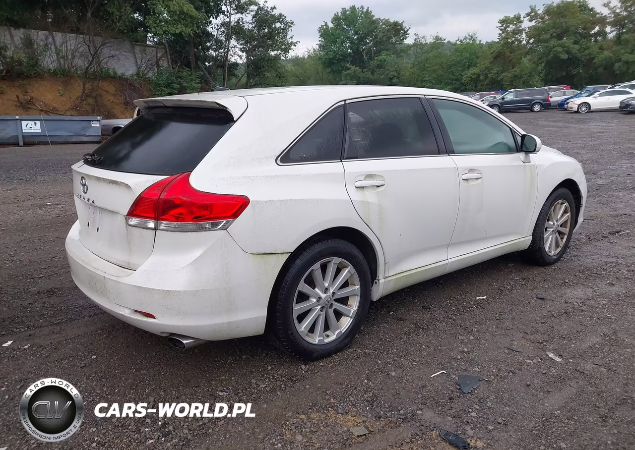2010 Toyota Venza VIN:4T3ZA3BB1AU030979 - 4