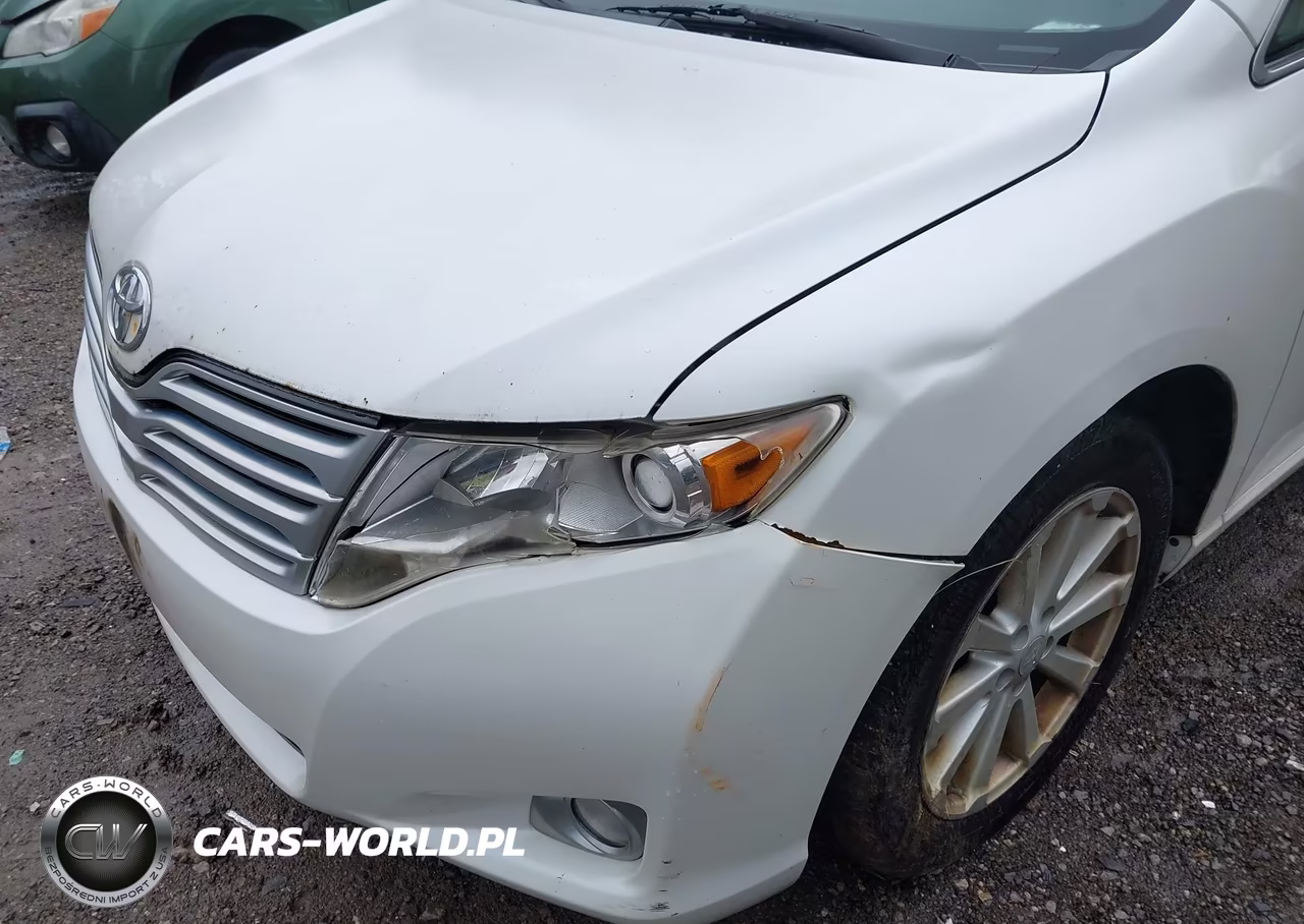2010 Toyota Venza VIN:4T3ZA3BB1AU030979 - 6