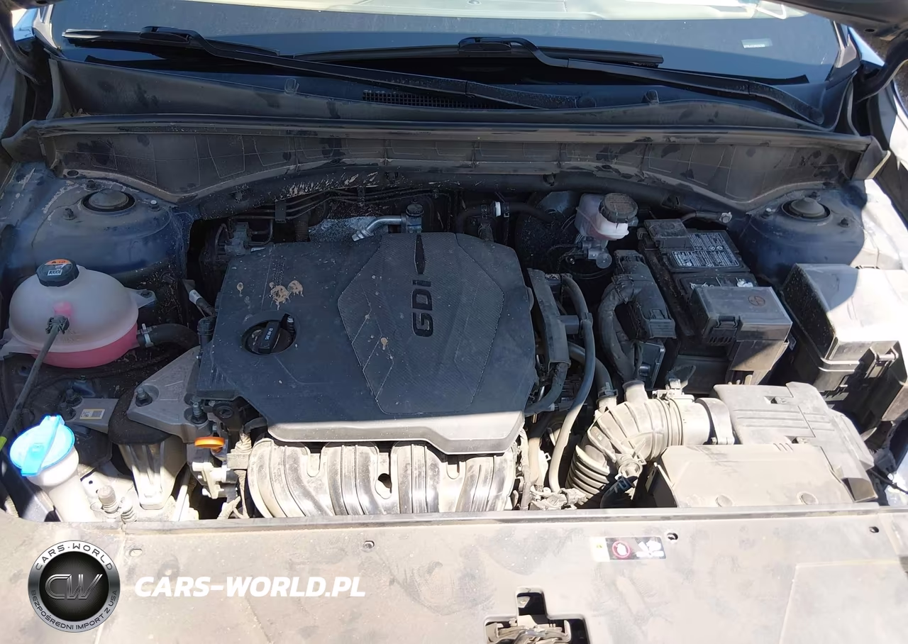 2024 Kia Sorento S VIN:5XYRL4JC2RG282583 - 10