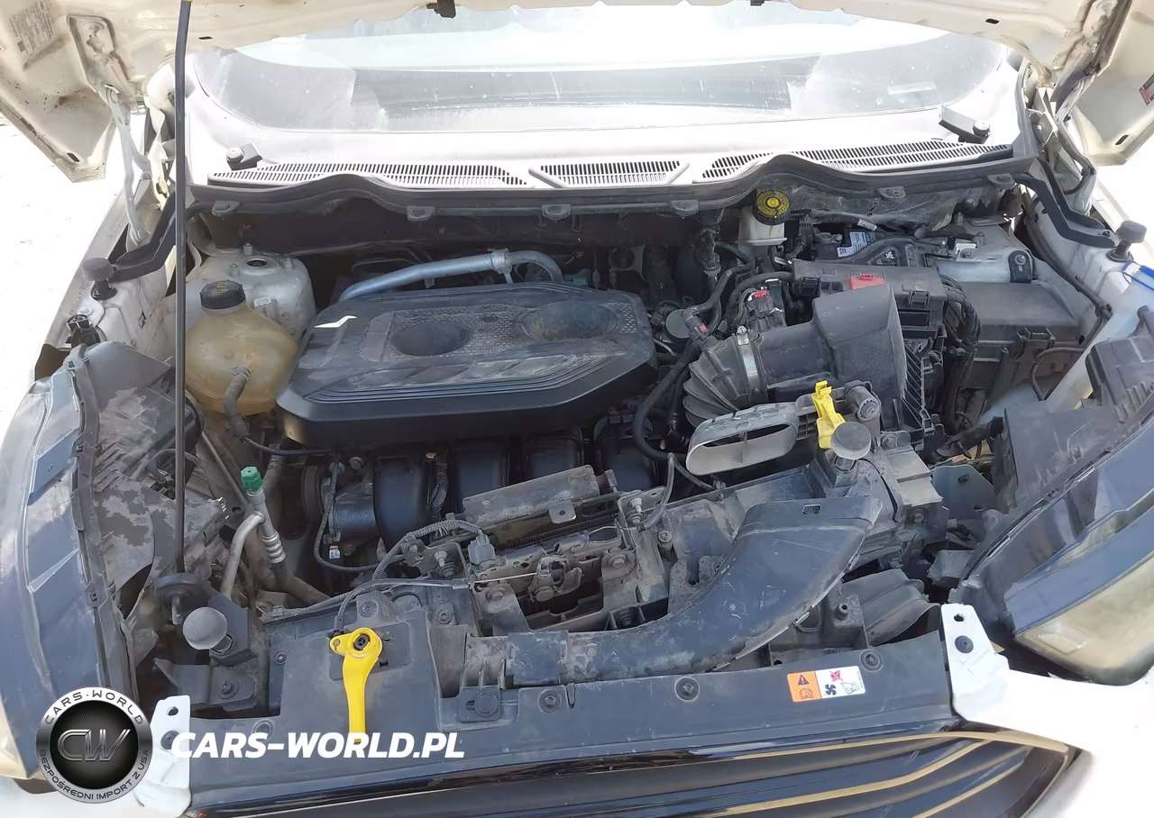 2020 Ford Ecosport Ses VIN:MAJ6S3JL4LC352456 - 10