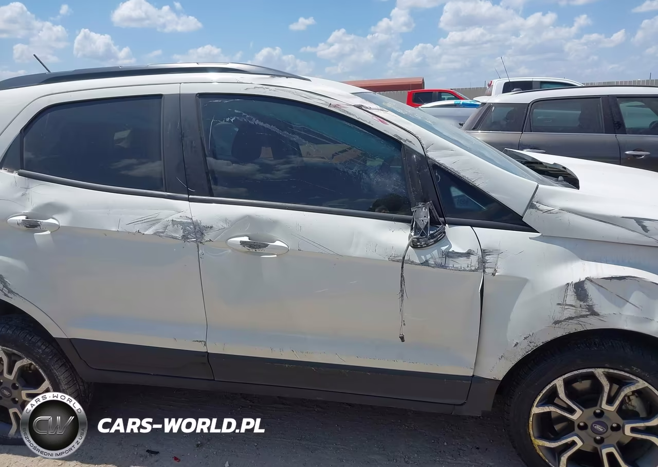 2020 Ford Ecosport Ses VIN:MAJ6S3JL4LC352456 - 13