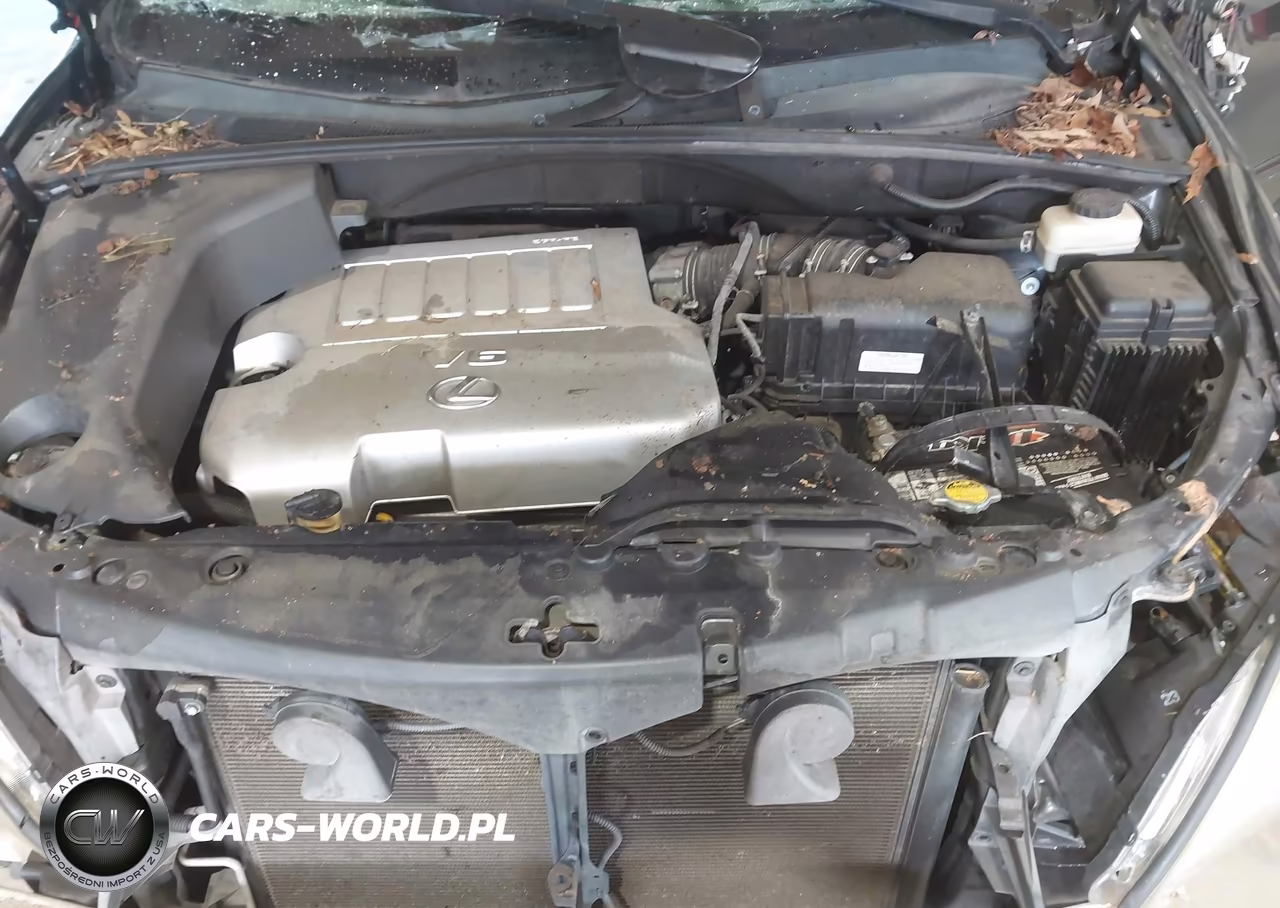 2009 Lexus Rx 350 VIN:2T2GK31U09C069670 - 10