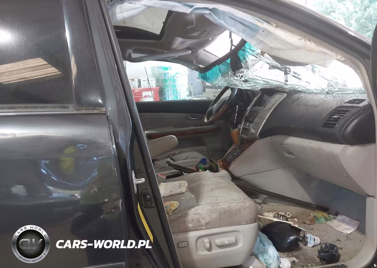 2009 Lexus Rx 350 VIN:2T2GK31U09C069670 - 5