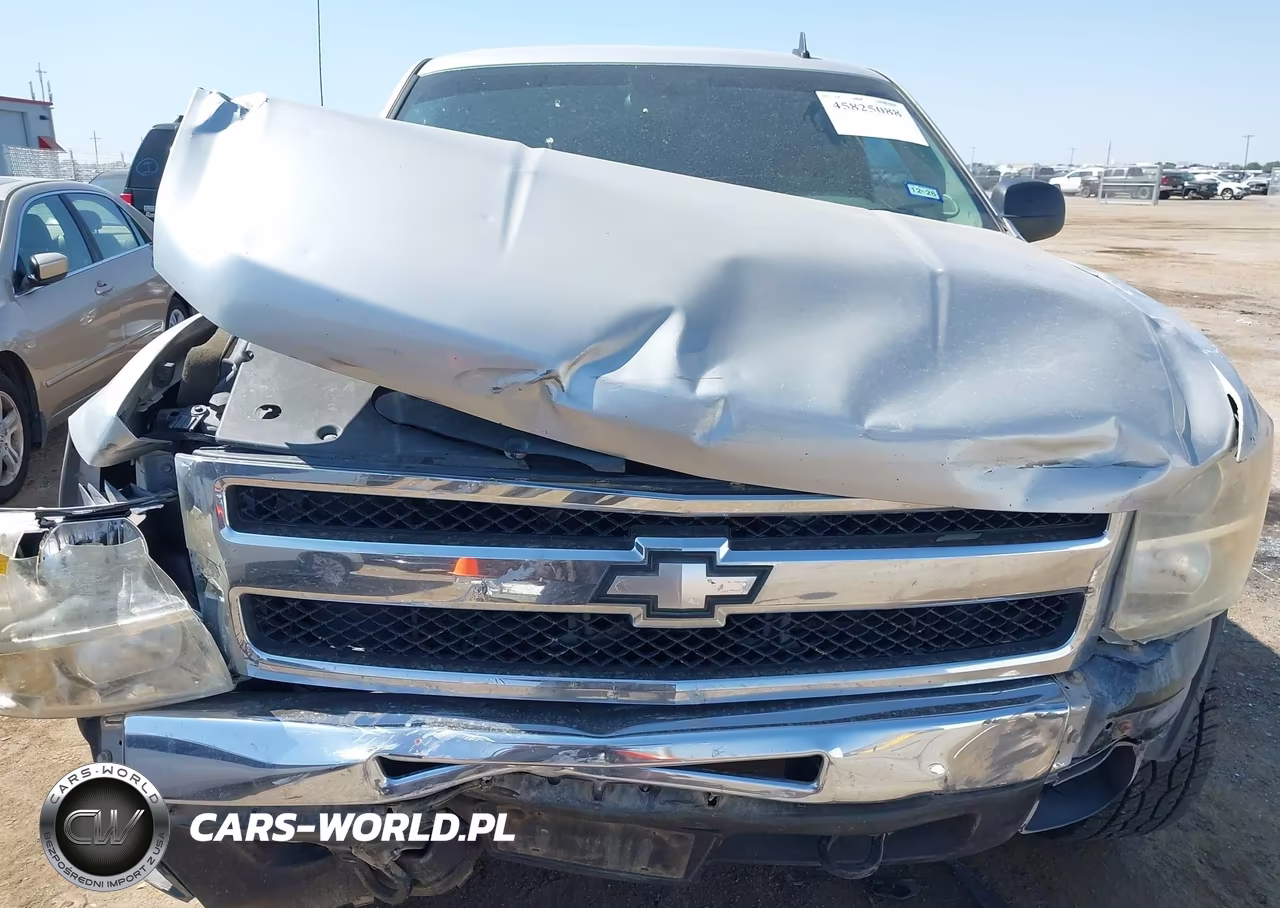 2010 Chevrolet Silverado 1500 Ls VIN:3GCRKREA5AG233151 - 6