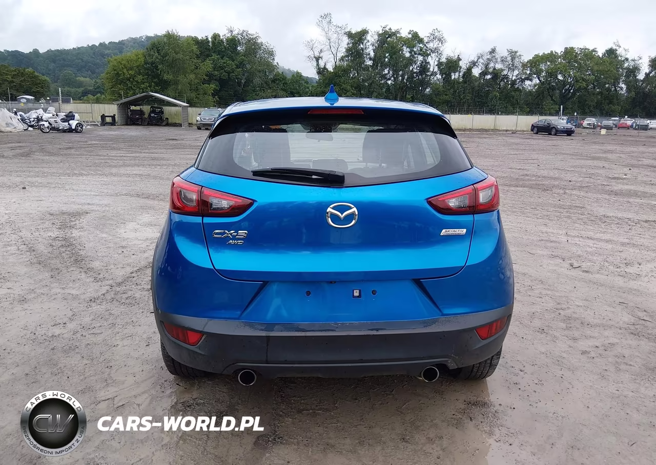2016 Mazda Cx-3 Touring VIN:JM1DKBC73G0119686 - 17