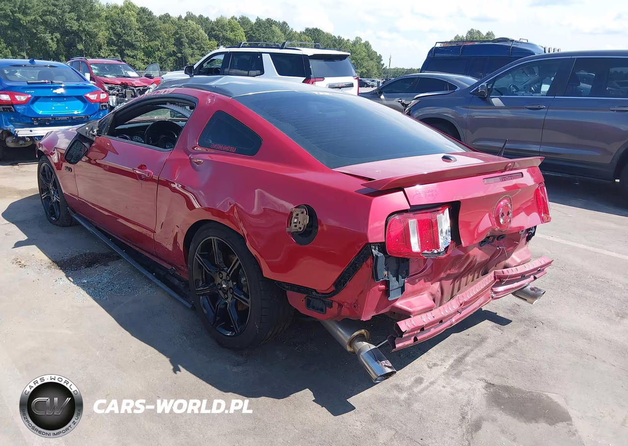 2011 Ford Mustang Gt Premium VIN:1ZVBP8CF9B5157113 - 3
