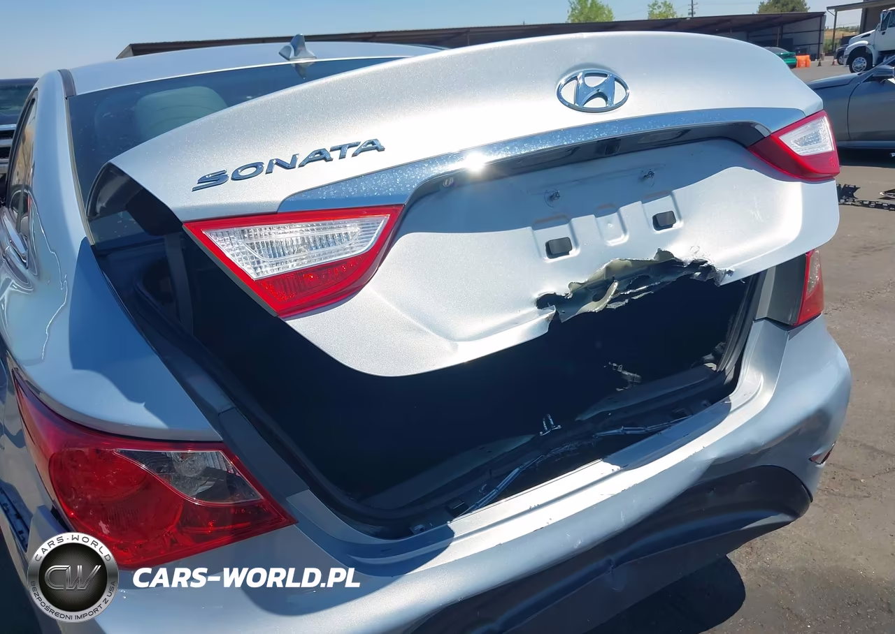 2014 Hyundai Sonata Gls VIN:5NPEB4AC1EH834112 - 6