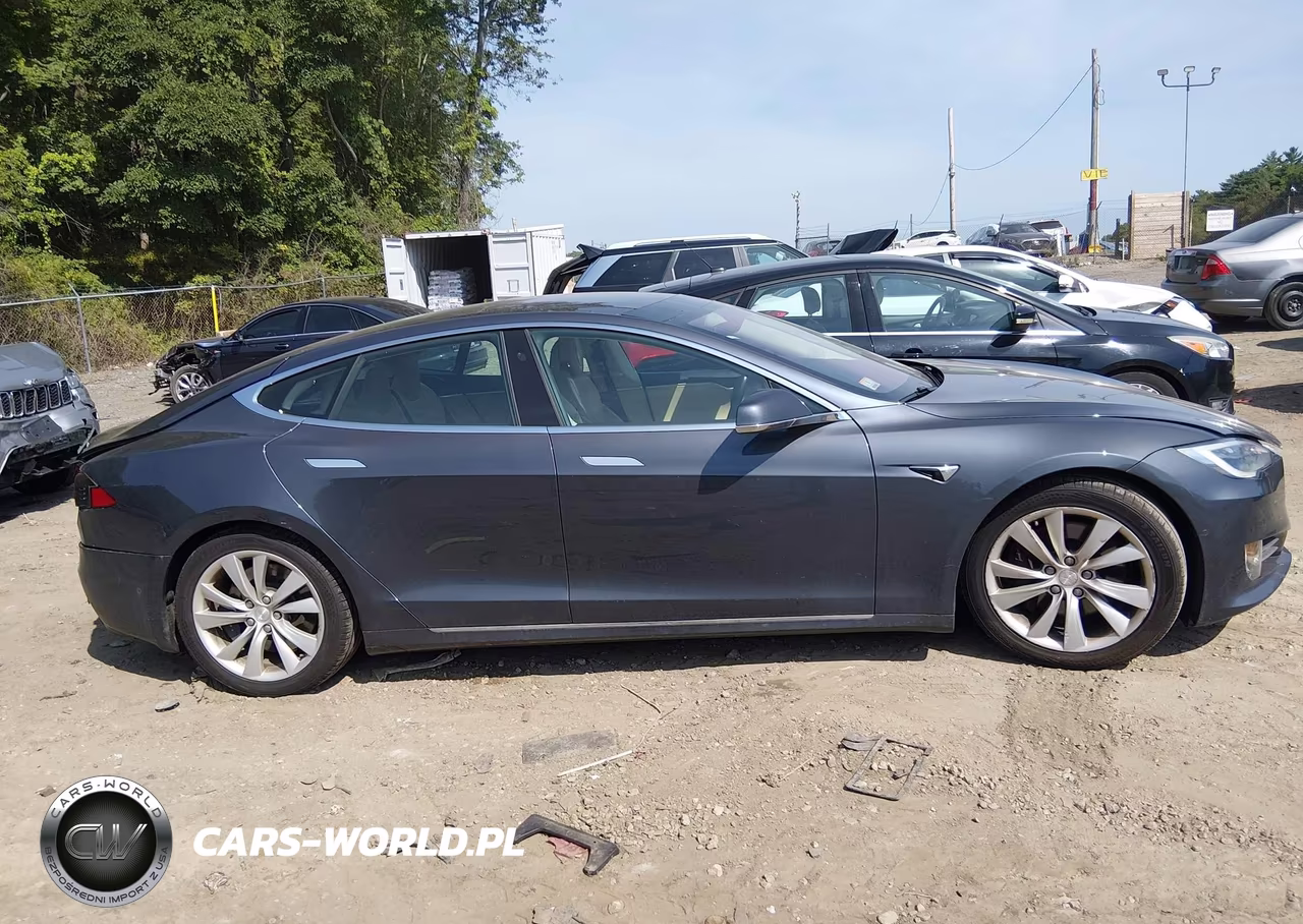 2017 Tesla Model S 100D-60D-75D-90D-P100D VIN:5YJSA1E22HF210327 - 13