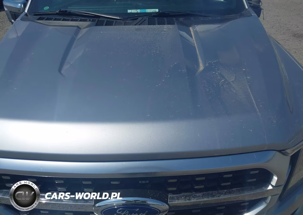 2021 Ford F-150 VIN:1FTFW1ED1MFC45936 - 10