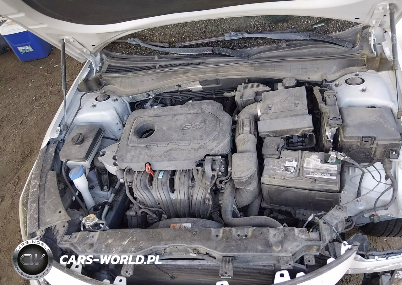 2020 Kia Optima Lx VIN:5XXGT4L35LG440429 - 10