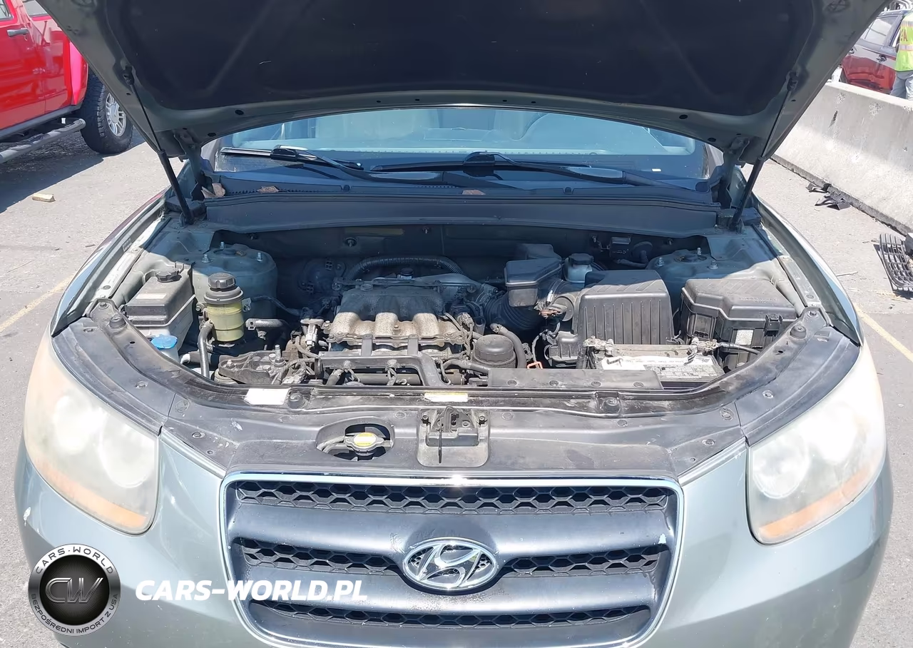 2009 Hyundai Santa Fe Se VIN:5NMSH73E59H230633 - 10