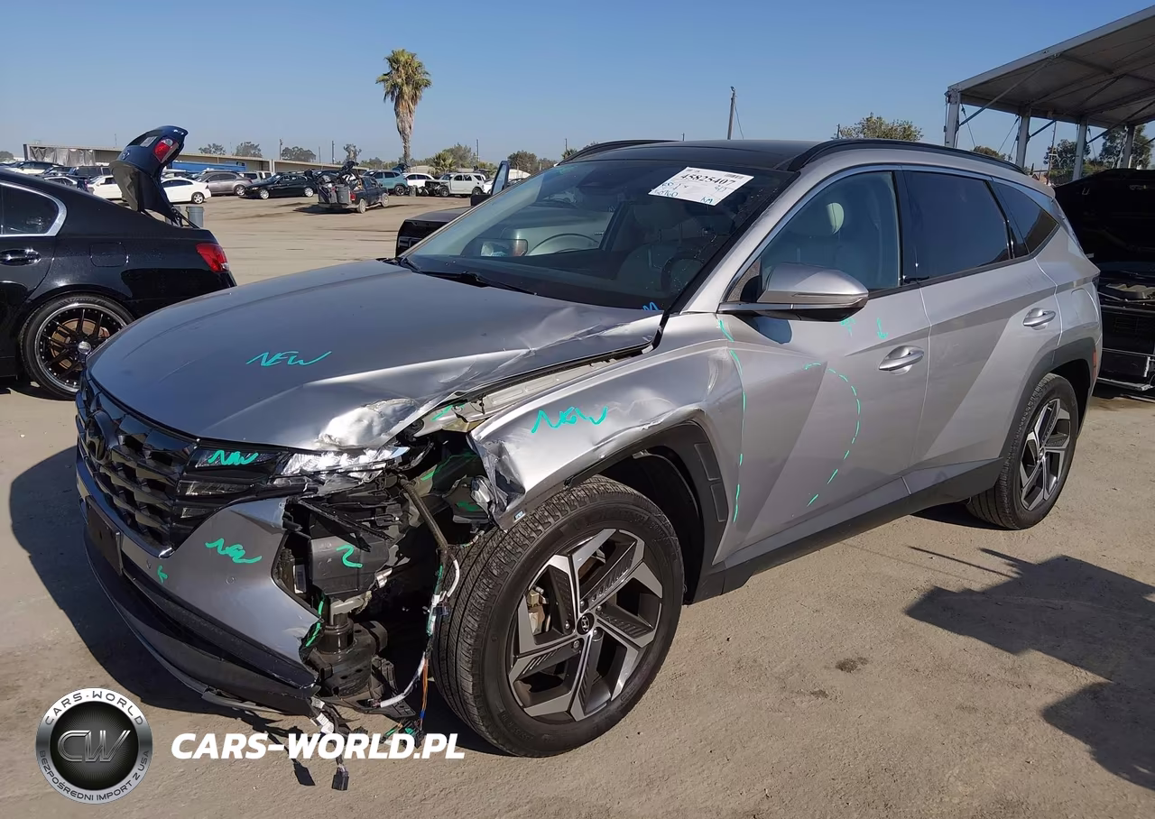 2023 Hyundai Tucson Limited VIN:5NMJE3AE1PH187065 - 2