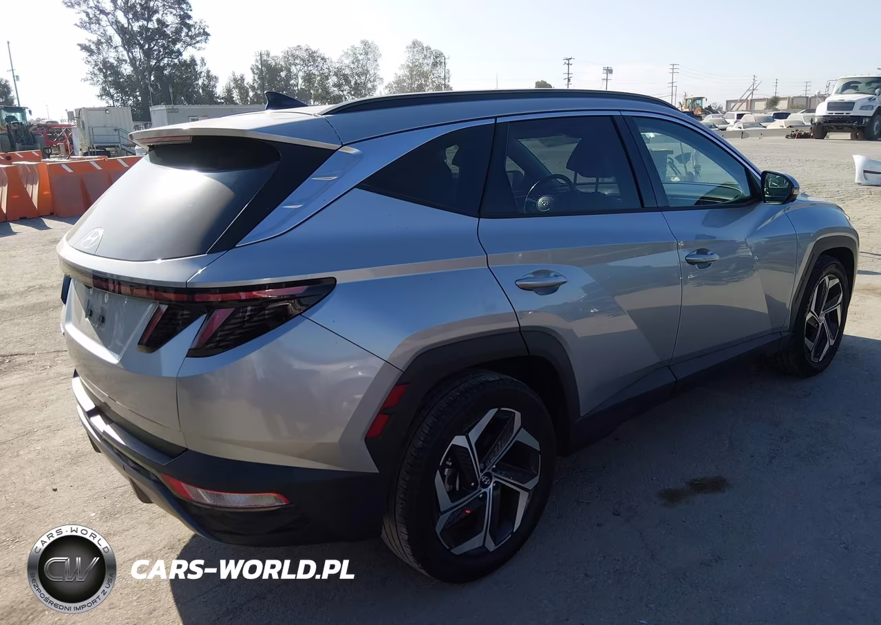 2023 Hyundai Tucson Limited VIN:5NMJE3AE1PH187065 - 4