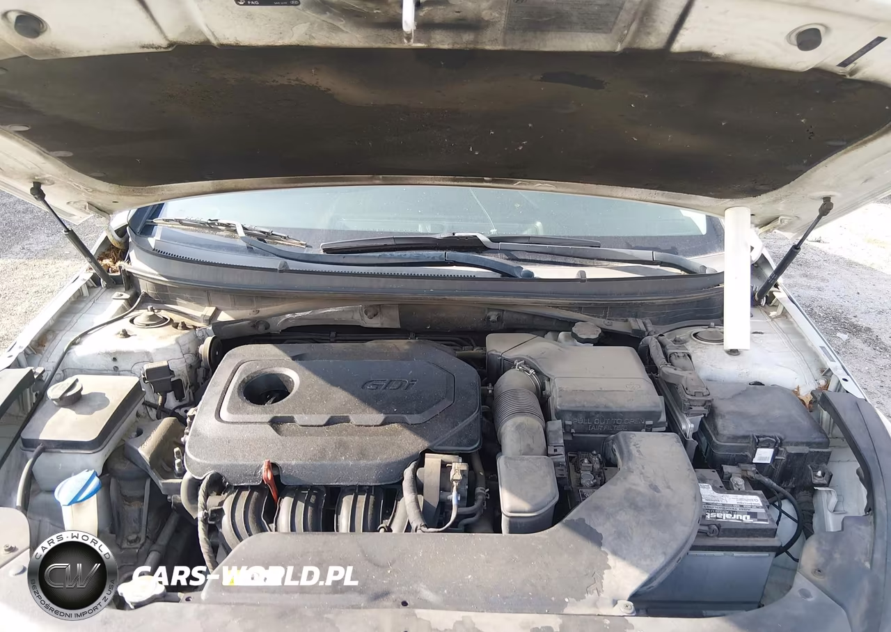 2016 Hyundai Sonata VIN:5NPE24AF9GH406124 - 10