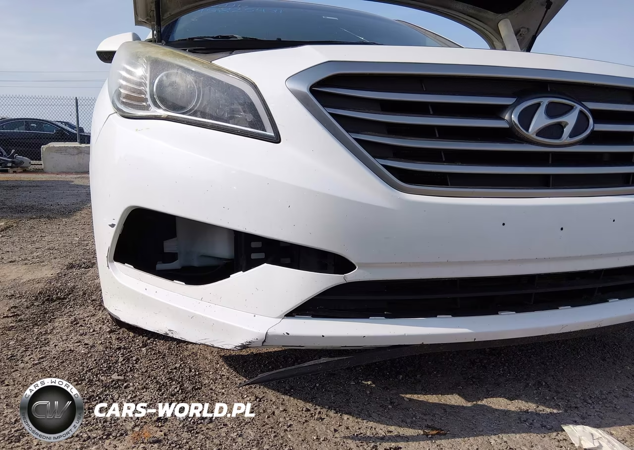 2016 Hyundai Sonata VIN:5NPE24AF9GH406124 - 6