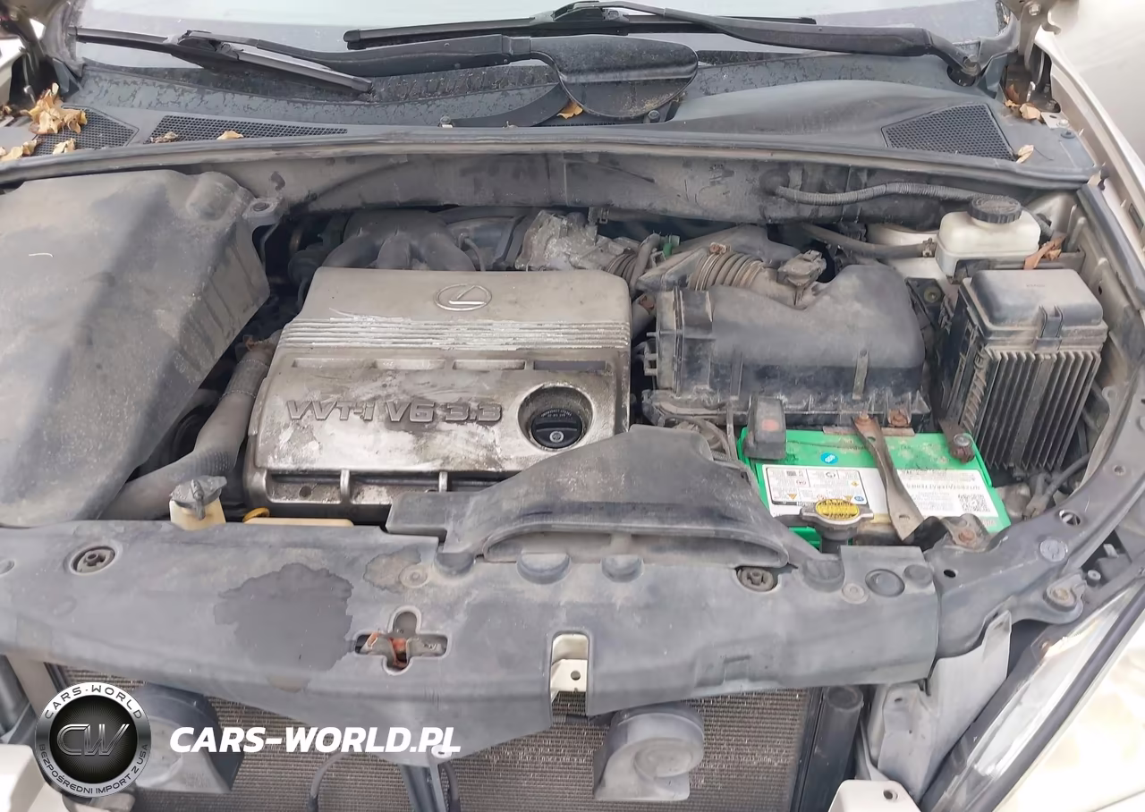 2005 Lexus Rx 330 VIN:2T2GA31UX5C026354 - 10